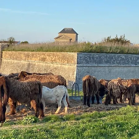 Ferienhaus Maison Ane En Culotte *